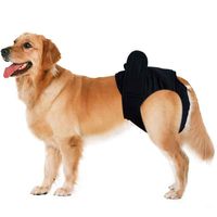 Axchongery Diapers,Female Dog Sanitary Pants Pet in Season Sanitary Protector Pant (Black, L)