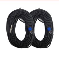 Seismic Audio - SASPT14-100-2Pack - Pair of 100 Foot Speakon to 1/4" PA DJ Speaker Cable - 2 Conductor - 14 Guage