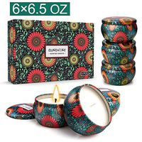 YINUO MIRROR Scented Candles Gift Set, Natural Soy Wax 6.6 Oz Portable Travel Tin Candles Women Gift with 6 Different Fragrances for Aromatherapy - 6 Pack