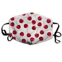 Fresh Red Cherry Dust Mask,Washable and Reusable Cleaning Gardening Outdoor Activities Warm Windproof Mask