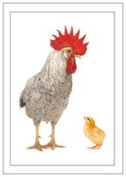 NW Pitney Ink Roost Father's Day Greeting Card, 5 x 7" (1302FD)