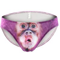 Alalaso Men's 3D Animal Printing Sexy Underwear, Shorts Low Waist Underpants Soft Silk Breathable Briefs Panties (C,M)