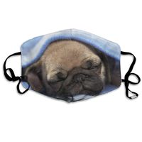 Hongclever Mouth Masks Dog Reusable Washable Earloop Mask,Face Cover for Outdoor Sun Anti Dust Allergy