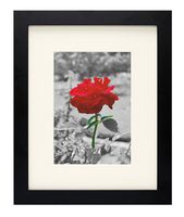 Golden State Art, Set of 10, 8x10 Photo/Picture Frame with Ivory Mat for 5x7, Black