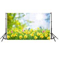 Iusun Easter Day Backdrops For Photography, Easter Day Theme Vinyl Photography Backdrop Custom Photo Background Props (L)