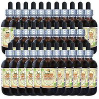 Angelica Chinese (Angelica Sinensis) Tincture, Organic Dried Root Liquid Extract (Brand Name: HerbalTerra, Proudly Made in USA) 30x2 fl.oz (30x60 ml)