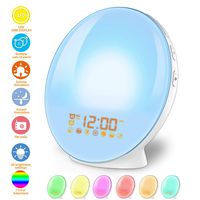 Wake Up Light Alarm Clock Lamp Alarm Clock Radio Sunrise Alarm Clock Fading Sunset with 7 Colors Sleep and Wake Up with PM Radio Light Alarm Clock Alarm Clock for Sleep Kids,Adults (White)