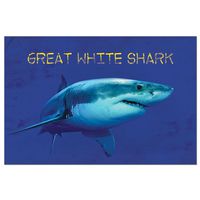 Tree-Free Greetings ECOnotes Blank Note Cards, Matching Envelopes, Blank Stationary Card Set, 4" x 6", Shark Great White Modern, Pack of 12 (FS66940)