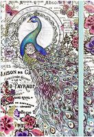 Punch Studio Hardcover Bungee Closure Gold Foil Embellished Journal - Bella Peacock 95084