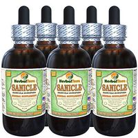 Sanicle (Sanicula Europaea) Glycerite, Dried Herb Alcohol-Free Liquid Extract (Brand Name: HerbalTerra, Proudly Made in USA) 5x2 fl.oz (5x60 ml)