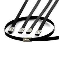 10pcs 12" 300mm Long Stainless Steel Wrap/Cable Zip Tie (Black)