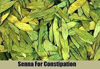 2 oz-Organic Senna Leaf herbal tea,And More! Indian senna, true senna