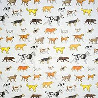 Silver"Congratulations" On White Art DIY Crafts Tissue Paper for Gift Wrapping 20"X30" 5 Sheets