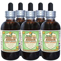 Turkey Tail Mushroom (Trametes Versicolor) Glycerite, Dried Mushroom Alcohol-Free Liquid Extract (Brand Name: HerbalTerra, Proudly Made in USA) 5x2 fl.oz (5x60 ml)