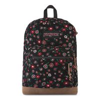JanSport Right Pack Expressions - Lightweight 15" Laptop Backpack | Morningside Bloom