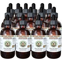 Echinacea Alcohol-Free Liquid Extract, Echinacea (Echinacea Angustifolia) Dried Root Glycerite Hawaii Pharm Natural Herbal Supplement 15x4 oz