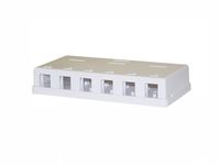 Blank Surface Mount Box for Keystones, 6 Hole, White (CNE43712)