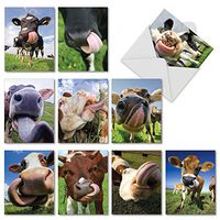 The Best Card Company - 10 Blank Note Cards for All Occasions (4 x 5.12 Inch) - Boxed Animal Cards for Kids - Cowlicks M4604OCB-B1x10