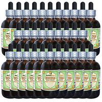 Hoodia (Hoodia Gordonii) Glycerite, Dried Plant Alcohol-Free Liquid Extract (Brand Name: HerbalTerra, Proudly Made in USA) 30x2 fl.oz (30x60 ml)