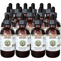 Ginger Alcohol-Free Liquid Extract, Organic Ginger (Zingiber officinale) Dried Root Glycerite Hawaii Pharm Natural Herbal Supplement 15x4 oz