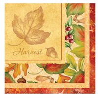 Settlers Feast Beverage Napkins Party Accessory