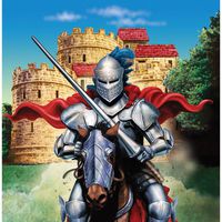 Creative Converting Valiant Knight 16 Count 3-Ply Paper Lunch Napkins