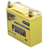 Stinger SPV20 Power Series 300-Amp Battery Consumer Electronics