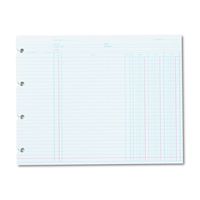 Wilson Jones N2D Accounting, 9-1/4 x 11-7/8 (Pack of 100 Loose Shoots)