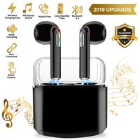 Wireless Earbuds Bluetooth Headphones, in Ear Bluetooth 5.0 Wireless Earbud Headphones with Microphone, Earbuds with Portable Charging Case for Work/Running/Travel Compatible iOS Android