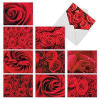 The Best Card Company - 10 Flower All Occasion Blank Cards (4 x 5.12 Inch) - Boxed Cards with Envelopes - Roses Are Red M3088