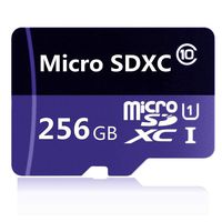 256GB Micro SD SDXC High Speed Class 10 Transfer Speeds Action Cameras, Phones, Tablets PCs