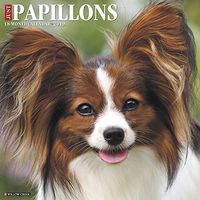 Just Papillons 2019 Wall Calendar (Dog Breed Calendar)