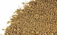 Ginkgo Leaf Powder (1 lb)
