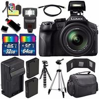 Panasonic Lumix DMC-FZ300 Digital Camera + Extra Battery + Charger + 96GB Kit9