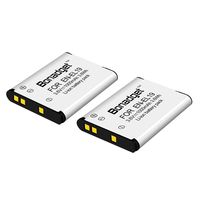Bonadget 1000mAh EN-EL19 Battery Pack Compatible with Coolpix S32, S33, S100, S2800, S3100, S3200, S3500, S3600, S4100, S4200, S4300, S5200, S5300, S7000 as Sony NP-BJ1 DSC-RX0