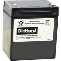 CHAMBERLAIN 4228 Replacement Battery for Garage Access Systems Computers, Electronics, Office Supplies, Computing