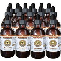 Echinacea (Echinacea Purpurea) Liquid Extract 15x4 oz