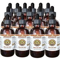 Astragalus Liquid Extract, Organic Astragalus (Astragalus membranaceus) Dried Root Tincture Supplement 15x4 oz