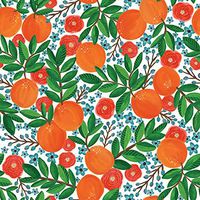 Jillson & Roberts Bulk Gift Wrap, Mandarin Grove, 1/4 Ream 208' x 24"