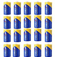 D Cell 1.5V Carbon Zinc Batteries (24 Pack)