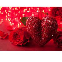 Toosvan DIY 5D Diamond Painting by Number Kits, Rhinestone Embroidery Drill Cross Stitch Kit Crystals Diamond Painting Pictures Kit Canvas Arts Craft Supply Wall Decor DIY Gift (D)