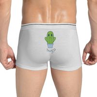 BAPALA Hug Cactus Men's Comfort Stretch Seamless Boxer Briefs Underwear