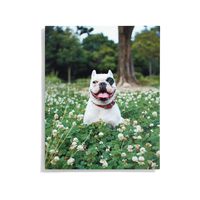 Custom Metal Wall Décor -16x20