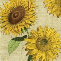 Caspari Under the Sun Paper Luncheon Napkins 10710L