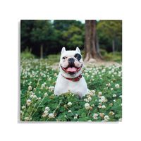 Custom Metal Wall Décor -20x20