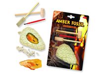 Amber Fossil Dig - Find the insects within the plaster!