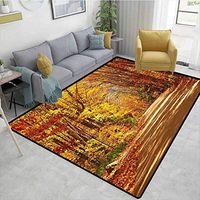 Bigdatastore Fall Novelty Girls Bedroom Rug, Scenic View Outdoors Empty Roadway Surrounded with Deciduous Trees Image, Fashionable High Class Living Bedroom Rugs(8'x 10')