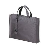 Lihit Lab Carrying Bag, Black, 11.8 x 15.7 Inches (A7651-24)