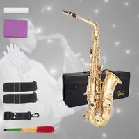 Glarry Student Alto Eb E-flat Handcrafted Carve Pattern Saxophone Gold Lacquer SAX Beginners Kit with Case, Reeds，Mouth Piece, Soft Cleaning Cloth and Rod，Gloves