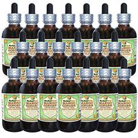 Mango Ginger (Curcuma Amada) Dried Root Alcohol-Free Liquid Extract (Brand Name: HerbalTerra, Proudly Made in USA) 20x4 oz